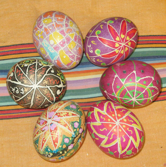 student's eggs